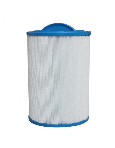 Filtre pour spa Wellis