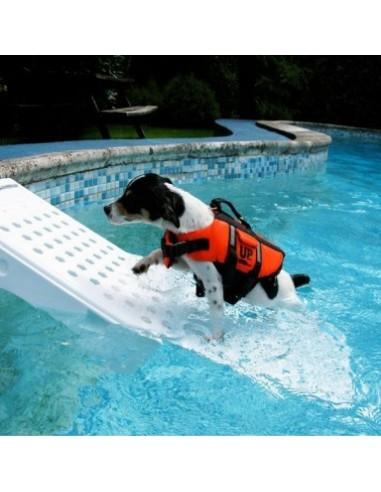 Rampe de piscine pour chien - blanc